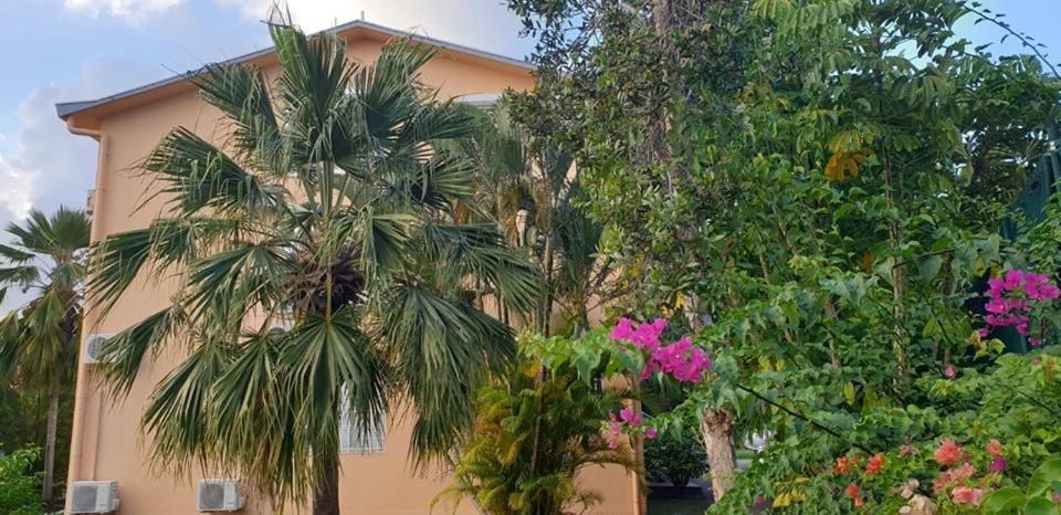 Ti Kaz A Rhum Appartement Sainte-Anne  Buitenkant foto